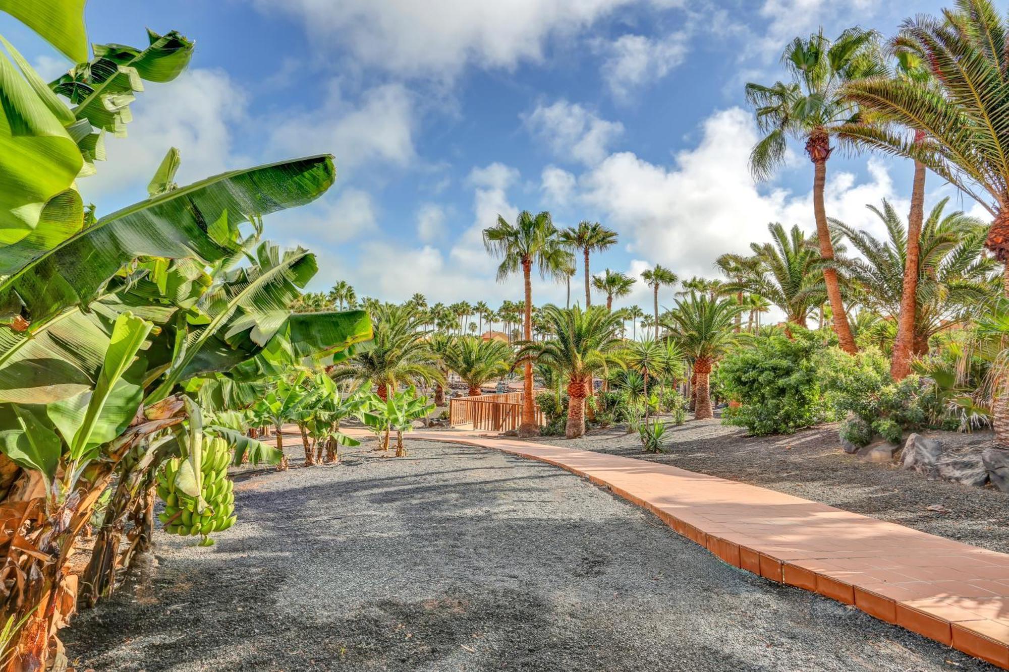 Oasis Royal Leilighet Corralejo Eksteriør bilde